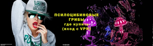 шишки Балахна