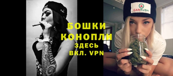 дурь Осташков