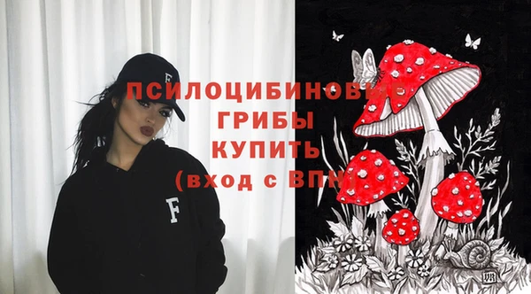 шишки Балахна