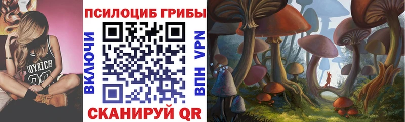 Галлюциногенные грибы MAGIC MUSHROOMS  kraken вход  Сегежа  сколько стоит 