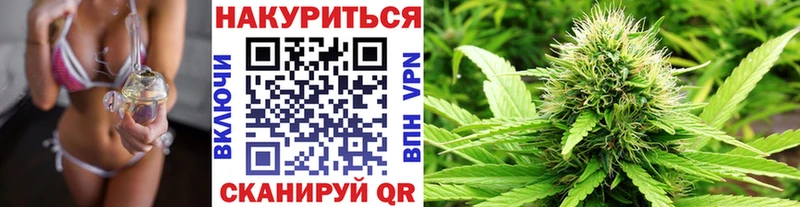 MEGA ONION  Сегежа  Бошки Шишки индика 